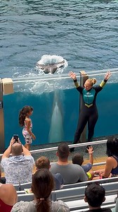 1.1M views · 21K reactions | Dolphins are natural athlete and very smart #dolphinshow #adventures #seaworld #educational #fun | Travisandcousins | Facebook