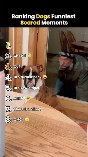 Ranking Dogs Funniest Scared Moments 🐶😂 #shorts