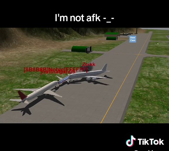 Enjoy Multiplayer Fun with SimplePlanes Aviation Game