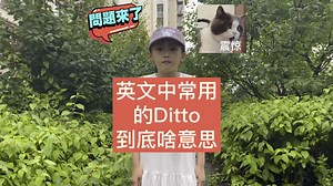Ditto，到底是啥意思？