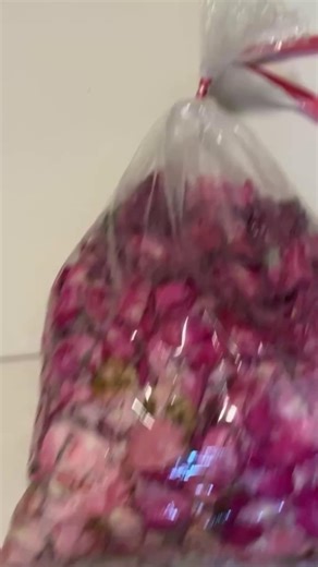 ‘AKO PA ANG MAGSU-SURPRISE SA SARILI KO?!’ 💐 Binungad ng maraming tanong ang Valentine’s Day ni Pinoy Big Brother: Celebrity Collab Edition Big Winner Mika Salamanca nang nagbahagi siya video kung saan pinadalhan siya ng isang plastic bag ng petals at isang bouquet ng bulaklak sa kaniyang condo. Pero dumating ito with a twist—cash on delivery (COD) pala ito. Sa Instagram, ipinakita rin ni Salamanca na si Von Razo ang nasa likod ng surprise. “In another life, kung dumating ka sa akin nang hindi 