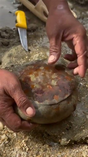 Still think you KNOW what this is? 🧐🥒👽#natureshorts #mystery #ocean #whatisthis