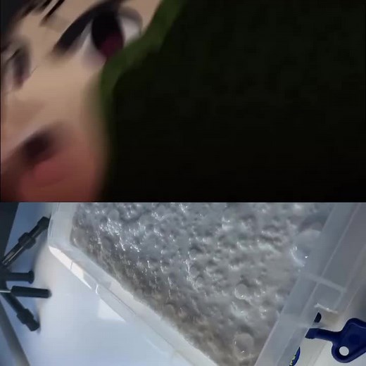 Exploring Colorful Bead Art and Animation Techniques