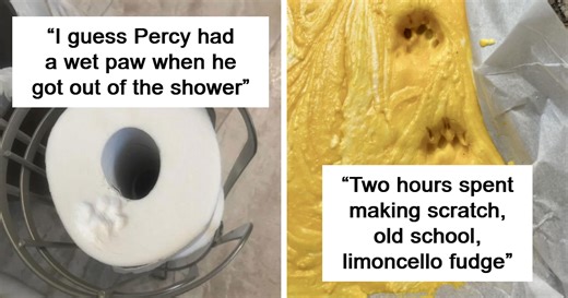 50 Adorable Cat Paw Prints That Told A Whole Story Without A Single Meow