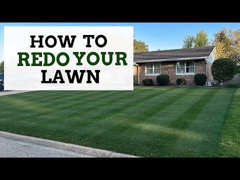 Complete Lawn Renovation: Everything you need to know!