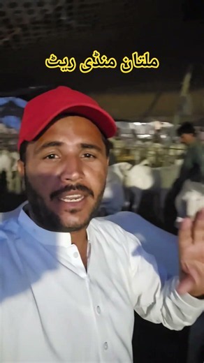 ملتان منڈی ریٹ 23 مئی 2026 👑⭐🚨 بکرا منڈی کے مکمل معلوماتی ویڈیوز