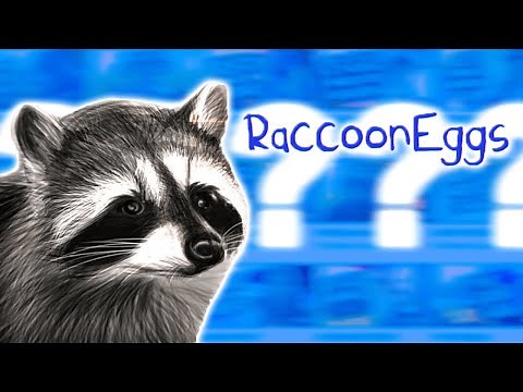 WHAT HAPPENED TO RACCOONEGGS