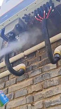 #gianthornets #bee #hornetnestremoval