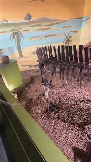 16K views · 609 reactions |  I’d only read of #Rhabdodon, Matheron...