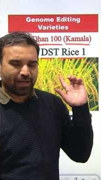 Genome Editing Rice Varieties- DRR Dhan 100 (Kamala) and Pusa DST Rice 1 develop by Dr. Mangrauthia