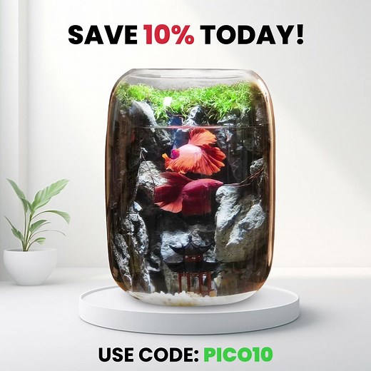 Escape to a world of calm with PlantPico™!🌿 Don’t forget to use code PICO10 for 10% OFF your order. | PlantPico