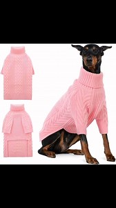 Sweaters for Dobermans—Available in classic Brown, Dark Green, and Pink! This beautiful dog sweater is versatile for any event. Whether you need something cozy for your pet or a festive touch for the holidays this extra large dog sweater is an excellent choice for keeping your dog warm and stylish 😍🐾😍 | My Love is My Dobermann - Reloaded