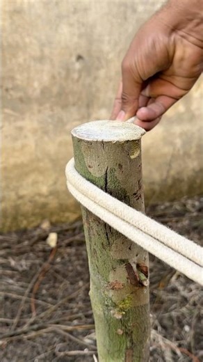 Super Simple Sailor Knot !