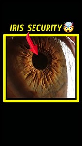 🤯Eye Iris Scan vs Fingerprint Scan: Which Is More Secure | FactoPedia Telugu