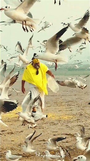 पक्षियों को दाना खिलाते हुए पूज्य महाराज जी #premanandjimaharaj #bhajanmarg