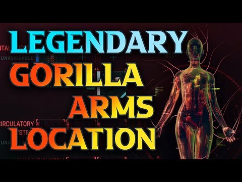 Cyberpunk 2077 Legendary Gorilla Arms Location