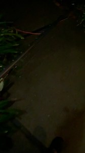 29K views · 237 reactions | Out salmon fishing  | Informative Fisherman | Facebook