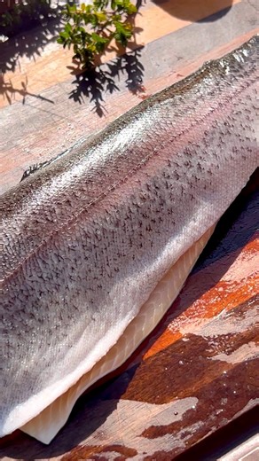 One of my favorite fish on the grill - rainbow trout. What’s your favorite fish? #seafood #fish #trout #grilling #hookedonbbq | Hooked on BBQ