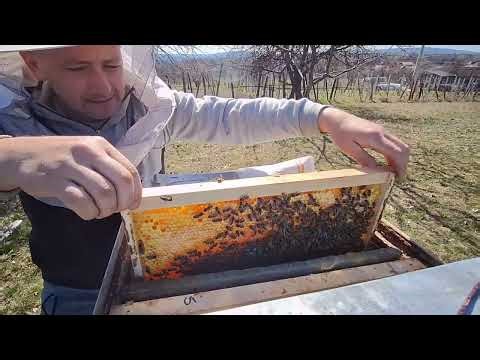 13 Mar 26 - First extended (blocked). Subtle checks, without too much trouble.