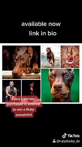 18K views · 95 shares | Ruby Calendars are available to order! They will be on sale until Nov 30th and shipped by the second week of Dec. International orders welcome, please email or private message for international shipping cost. Every order will be entered into a drawing to win a a FREE Ruby Sweatshirt! Calendar https://py.pl/iRjE66y5rB Ruby Merch https://www.bonfire.com/store/rubydoobydo/ | Rubydoobydo | Facebook