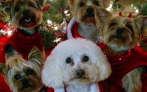 42K views · 665 reactions | I hope you will enjoy my slideshow,...