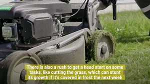 How gardeners can identify false spring & protect their plants