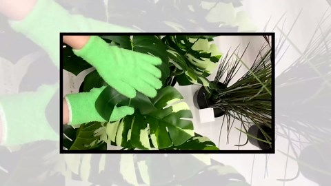 Evridwear Microfiber Plant Dusting Gloves Reusable Leaf Cleaning Glove for Houseplants,Blinds,Furniture and Small Objects
