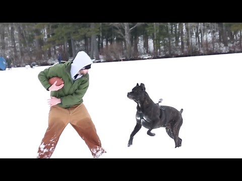 Ice Fishing Fails! Outdoor Fail