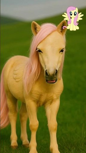 My Little Pony: Real Pony → Horse → Human