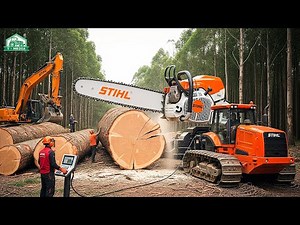 289 Die Stärksten Forstmaschinen, die auf einem anderen Level arbeiten: Forsttechnik der Extraklasse