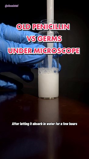 Testing Old Penicillin Against Bacteria Under Microscope