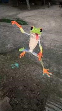 frog dance meme #viral #trinding #shorts