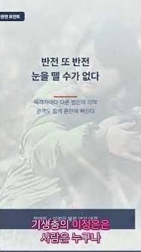 하얀 차를 탄 여자 영화리뷰 #영화리뷰 #한국영화 #넷파일 #웹하드 #영화 #무료다운 #netfile #고혜진 #정려원 #이정은 #김정민 #장진희 #파일공유