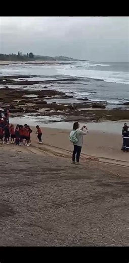 Wednesday at Shelly beach | Allan Carby