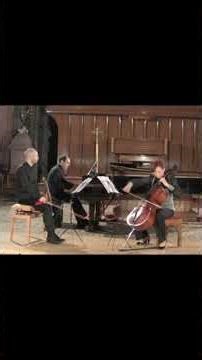 Vieuxtemps Adagio 🎻 | A Love Song for the Cello