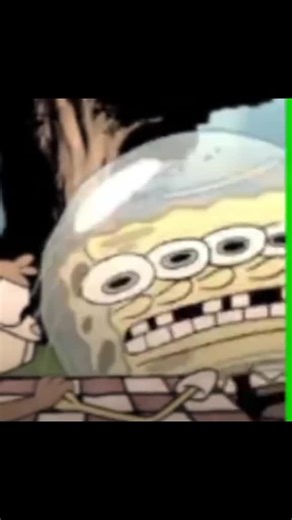 spngbob#fyppppppppppppppppppppppp