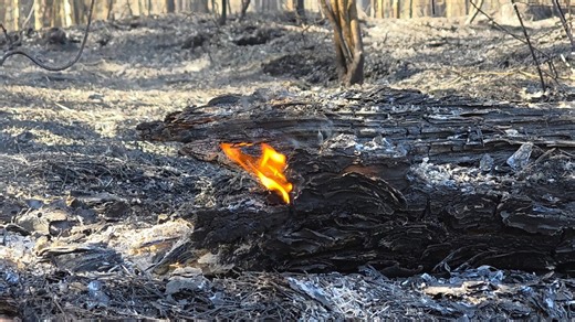 Lacombe wildfires contained, monitoring continues