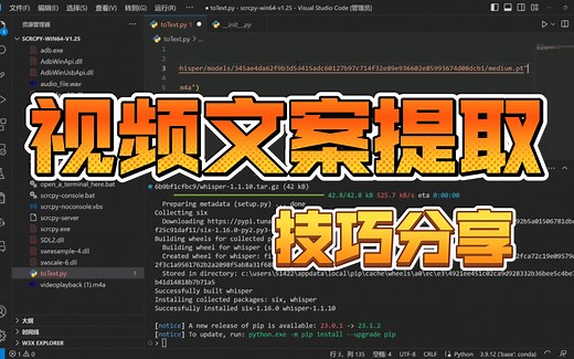 利用videofk和whisper提取视频文案