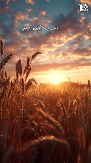 مَوْلَى يَا صَلِّ وَسَلِّمْ دَائِمًا أَبَدًا💯🌷💗.. #محمد #نبی_پاک #حضور