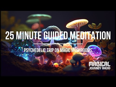 25 min Guided Magic Mushroom Trip I Find Tranquillity and Prepare for Psychodelic Wonders