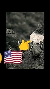 Pigeons in Heavy Rain 🌧️ Relaxing Rain Sounds | Peaceful Nature for Sleep & Relaxation