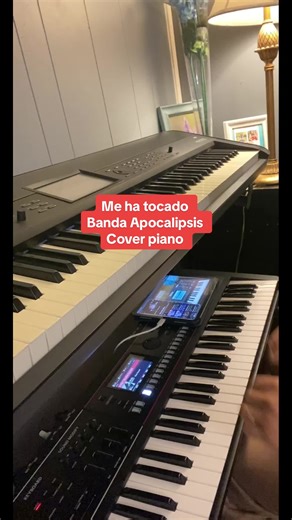 #tutorialpiano #coverpiano #paratiii #bandaapocalipsis #jacoboreynoso perdón x los errores 👌🏻