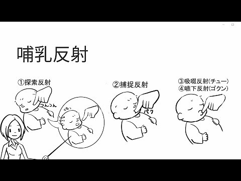 哺乳反射