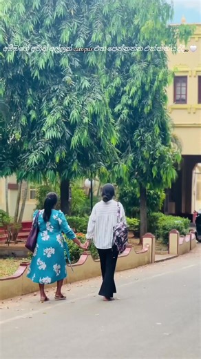 University of Jaffna Graduation Moments: Must-See Emotions