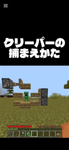 これで一安心だね！#マイクラ #マインクラフト#short