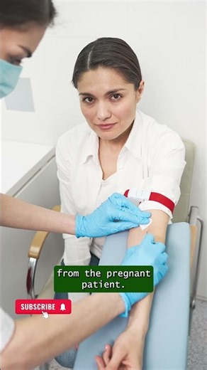 NIPT Test in Pregnancy: What Does It Really Tell You? | 10 Weeks
