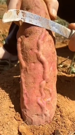 It's amazing 3~wood working art skill wood / hand crafts #shorts #comedyeffect