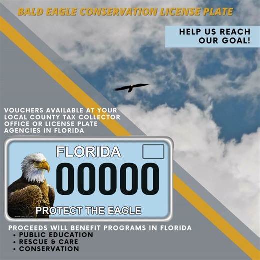 Hey, Florida residents! Help us reach our voucher goal of 3000. All proceeds will be reinvested in education, conservation, and protection of bald eagles in your state! Get your voucher here https://govhub.com/fl-lee/vouchers | American Eagle Foundation