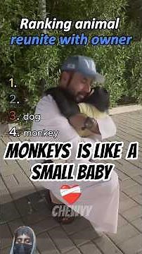Monkey is like a small baby ❤️‍🩹#reunion #pets #heartwarming