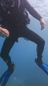 #gopro12. Making underwater friends #kohphangan | Sail Rock Divers | Facebook